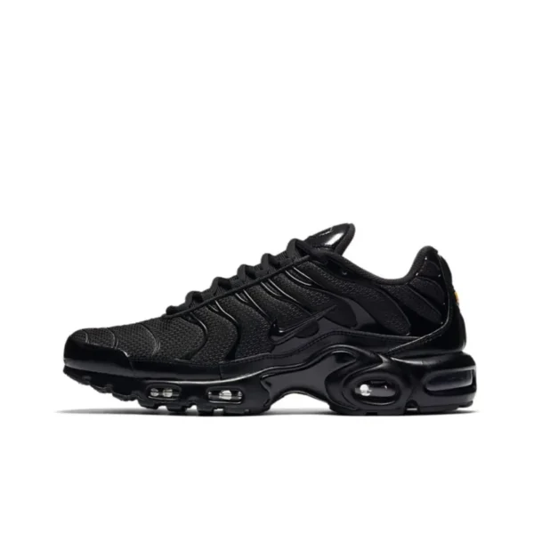 Nike Fake Air Max Plus Triple Black 604133-050